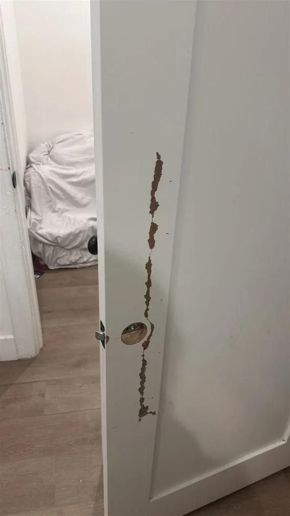 Damaged interior door edge before repair in Los Angeles