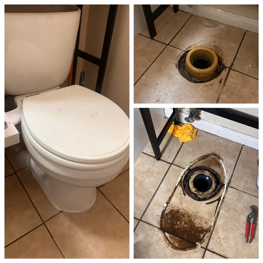 Toilet removed and flange repaired in Los Angeles