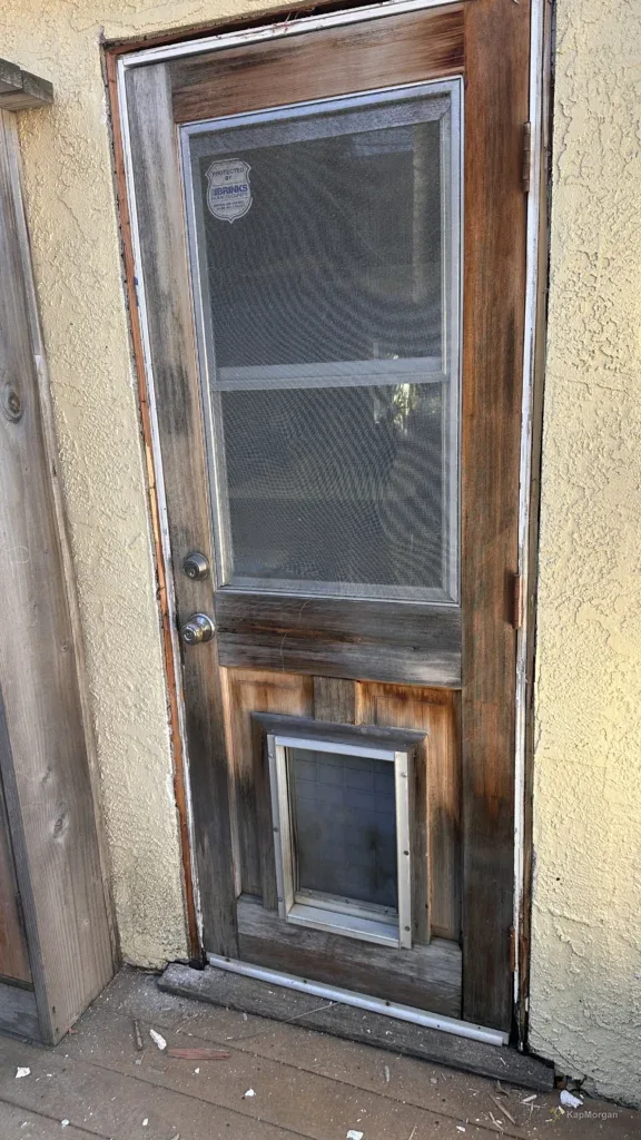 Pet door installed in an exterior door in Los Angeles